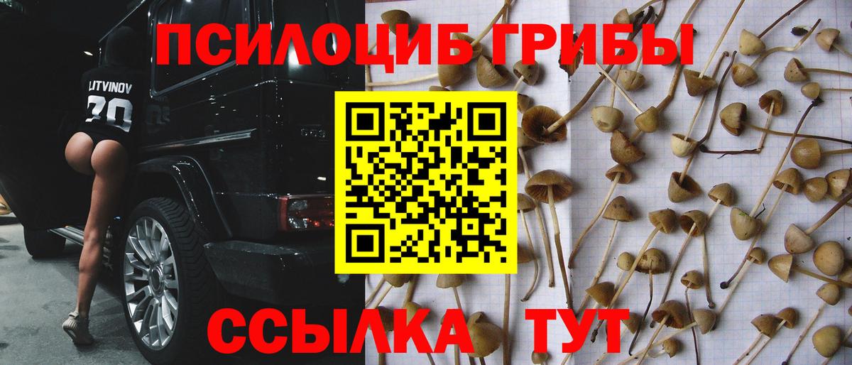 Малоярославец  Псилоцибиновые грибы мицелий  Вход с VPN 