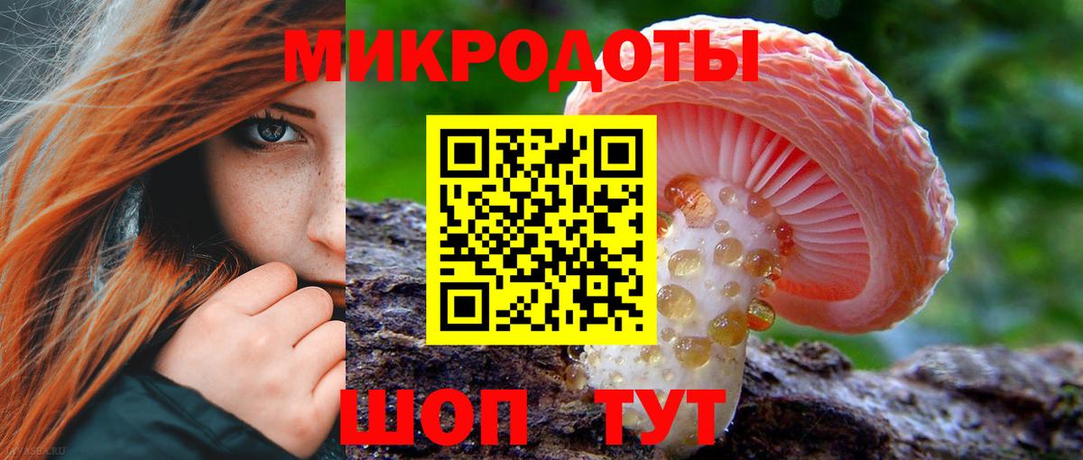 Псилоцибиновые грибы MAGIC MUSHROOMS Малоярославец